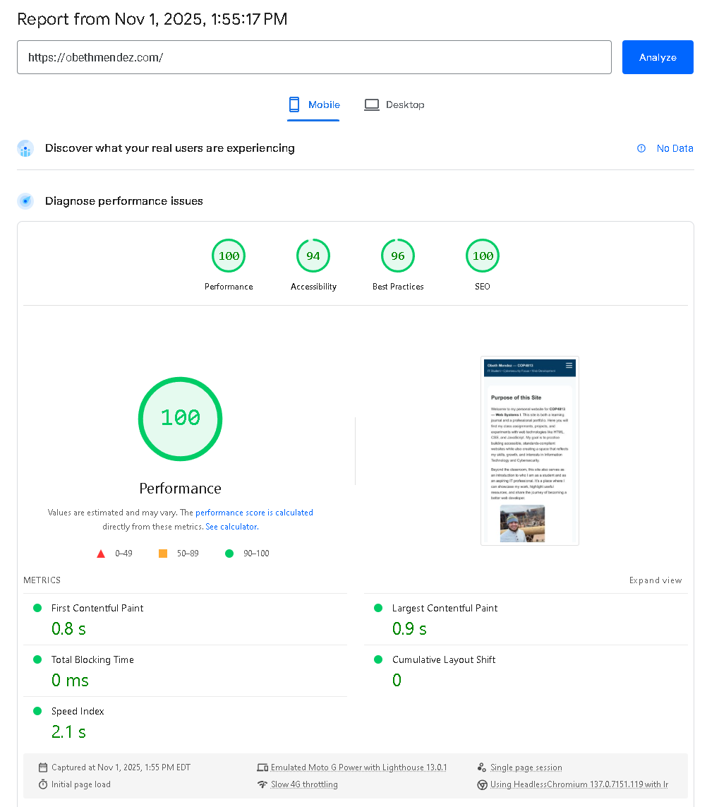 Overall Lighthouse Mobile Scores